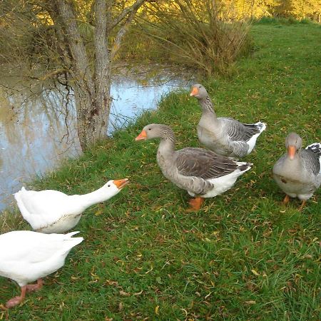 Domaine De Varenne Bed and Breakfast Saint-Amand-en-Puisaye Exterior foto