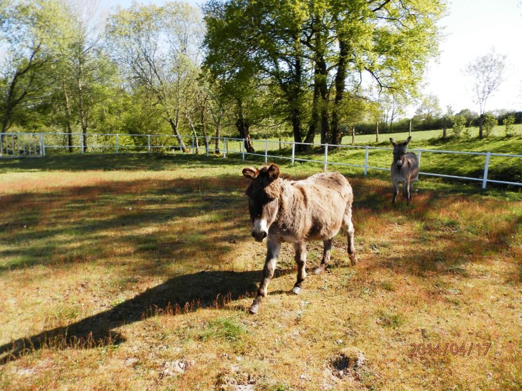 Domaine De Varenne Bed and Breakfast Saint-Amand-en-Puisaye Exterior foto